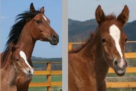 Maia & Emir Sahid am 26.04.2005