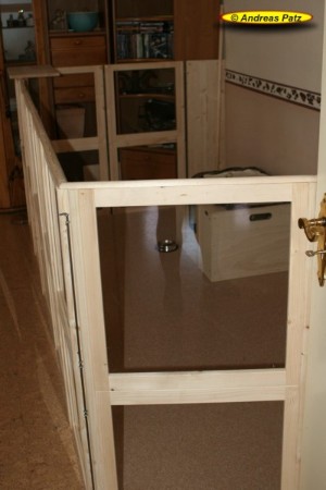 Hier f&uuml;hlen sich die kleinen Bengalen wohl